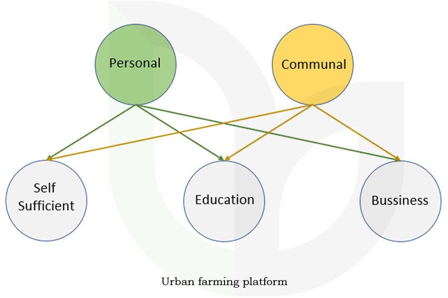What Is Urban Farming